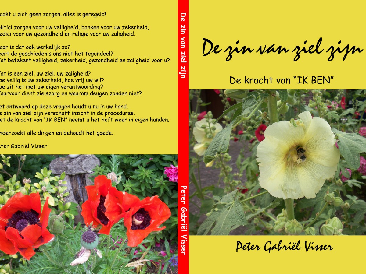 De zin van ziel zijn