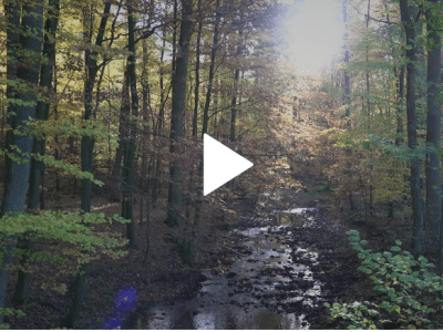 Das Licht wird seinen Weg bahnen